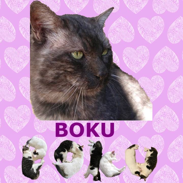 D8b69db7 78fa 4363 8d66 b06f5a8d9331 1668779163239