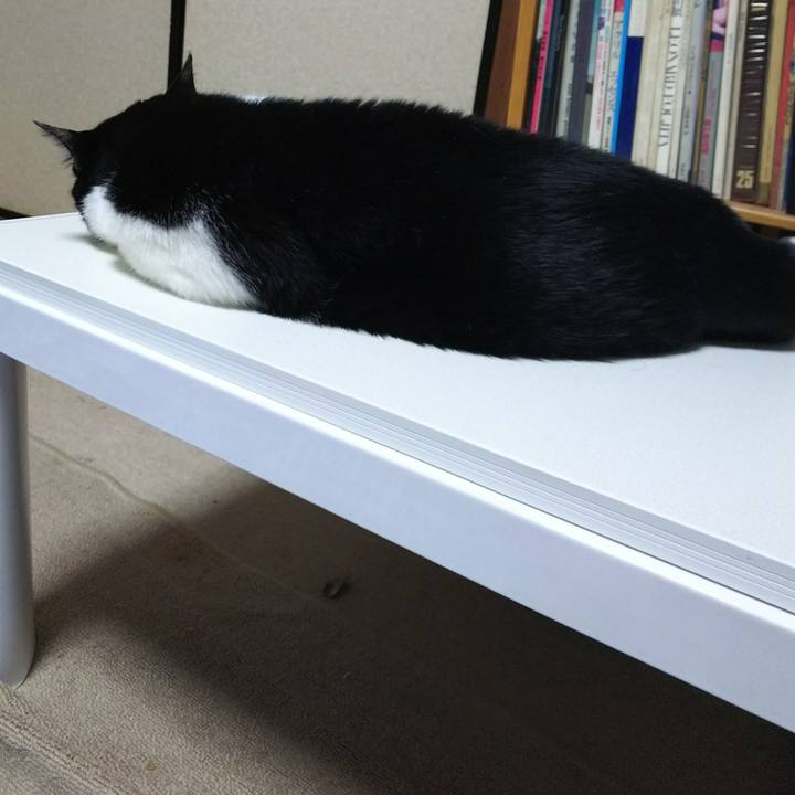 D8b6a7c5 bec5 44dd b87b 9ee715a1df88 1527435472802