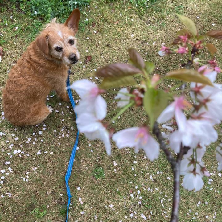 D8b6c0ec d942 474c 99ea 4b3e2feb4cc4 1679735983042