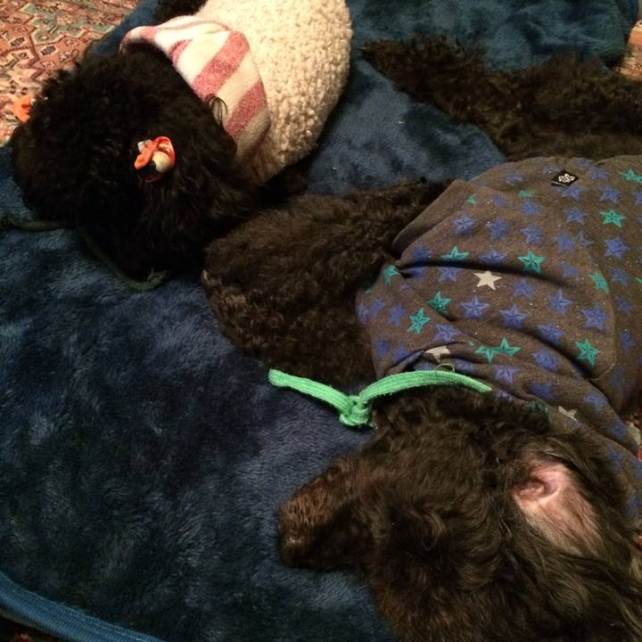 D8b6c0f0 66d4 4fd1 8666 73f975a2deac 1540122975644