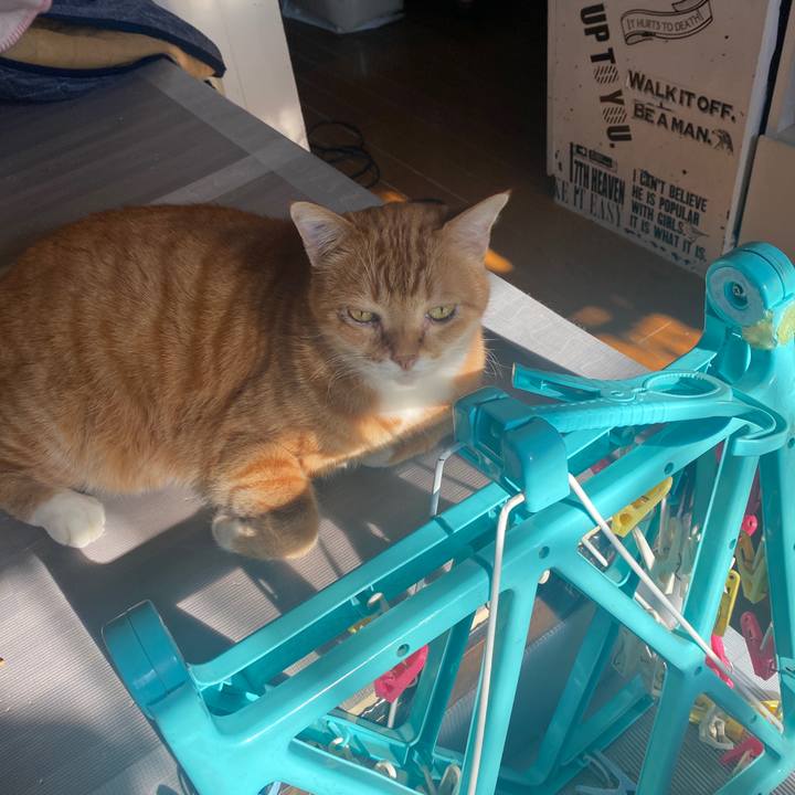 D8b7111d ca4f 44bd 926b 7d836665db6c 1639360959932