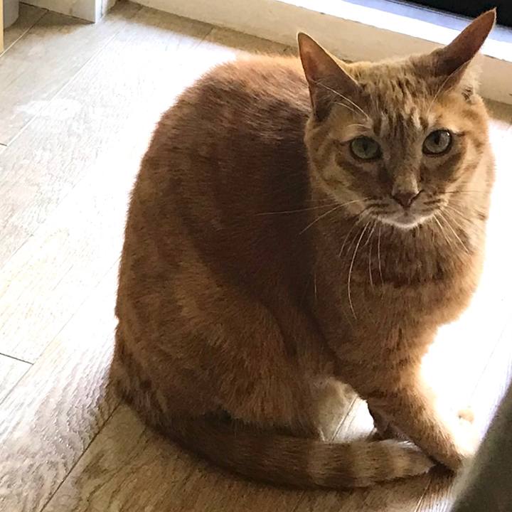 D8b73b5b 4f4e 4b92 b9d2 b2d578119c29 1619410938875