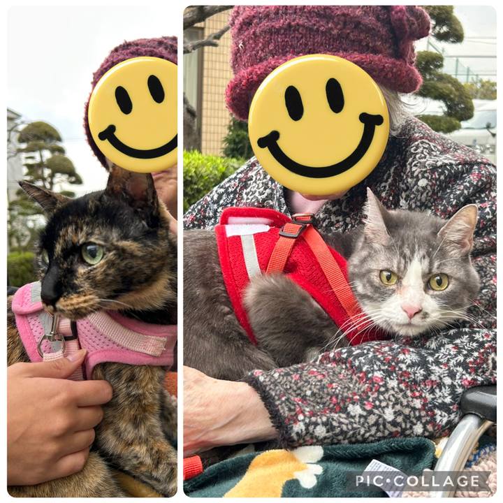 D8b74da6 079a 40cd a97d 8135879d956f 1773843440682