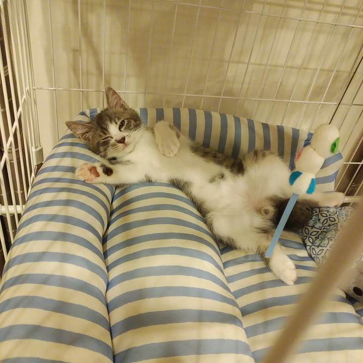 D8b76f88 54dd 4ca4 b580 093773dc14bf 1562330723451