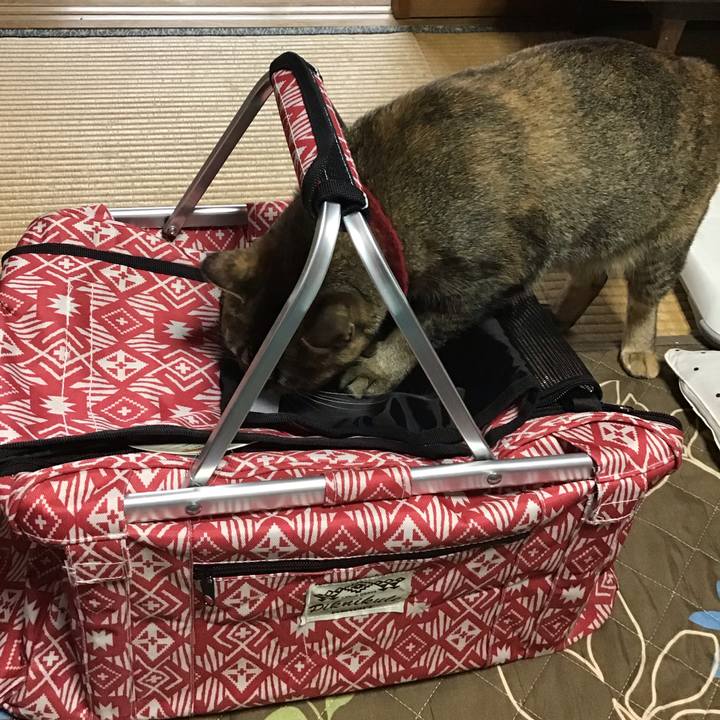 D8b77246 6a23 4ad5 93bb f1ef2bdb140d 1602217624635