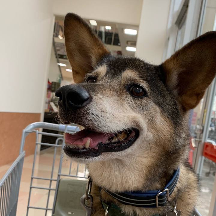 D8b78243 5af4 4d80 9d55 5812b7652bae 1570699508308