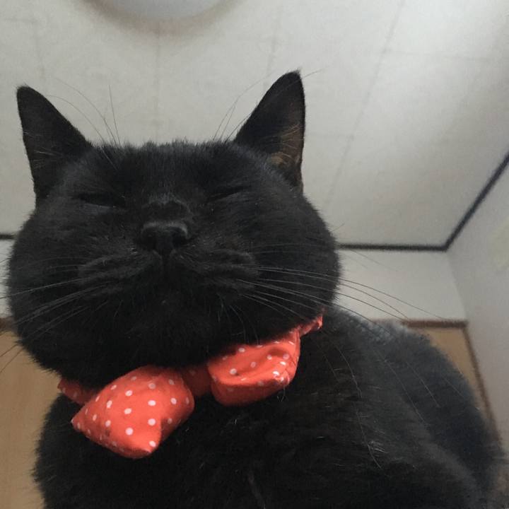 D8b79af9 e14b 4925 a2eb 31f1b791df50 1550915753311