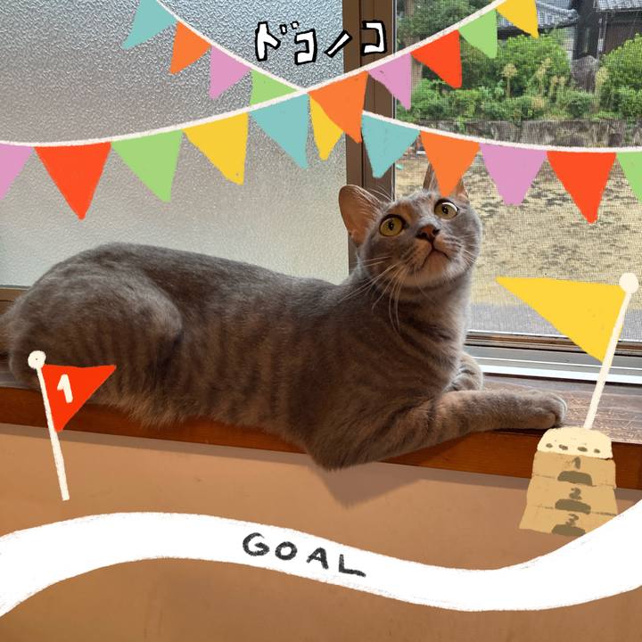 D8b7bd50 ef5d 469f afb2 81705efd8f04 1729292403982