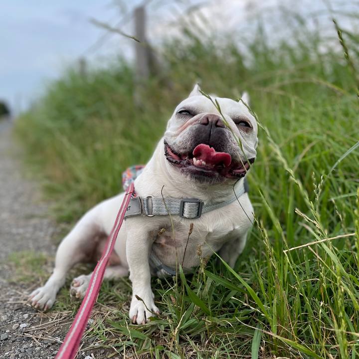 D8b7c317 5517 45d6 bc21 cbd0aab343d4 1751757851238