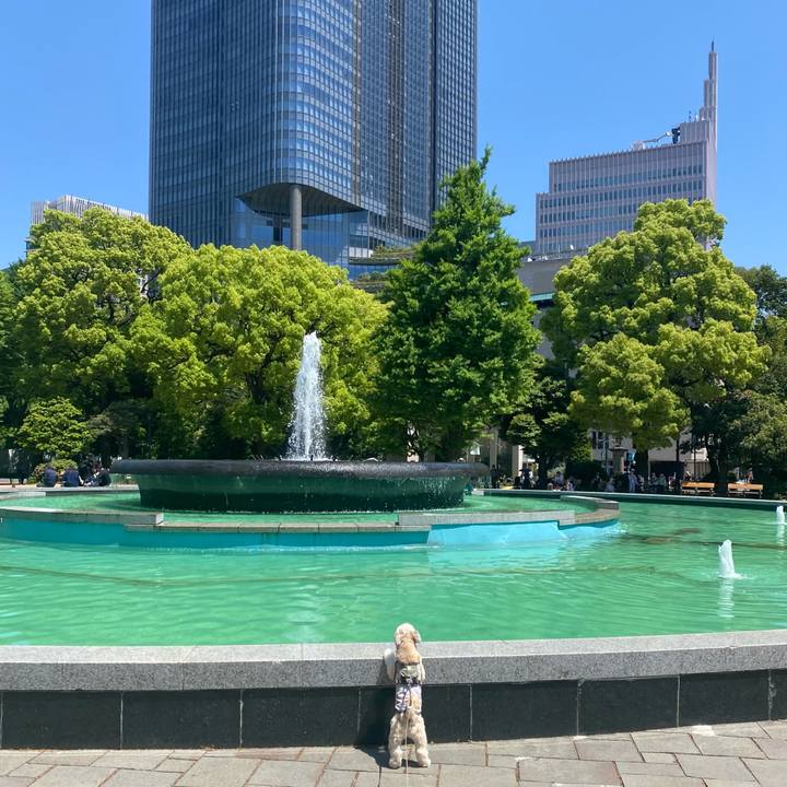 D8b7c6e0 cc03 45a3 a40a 874e414f24e9 1714735108880