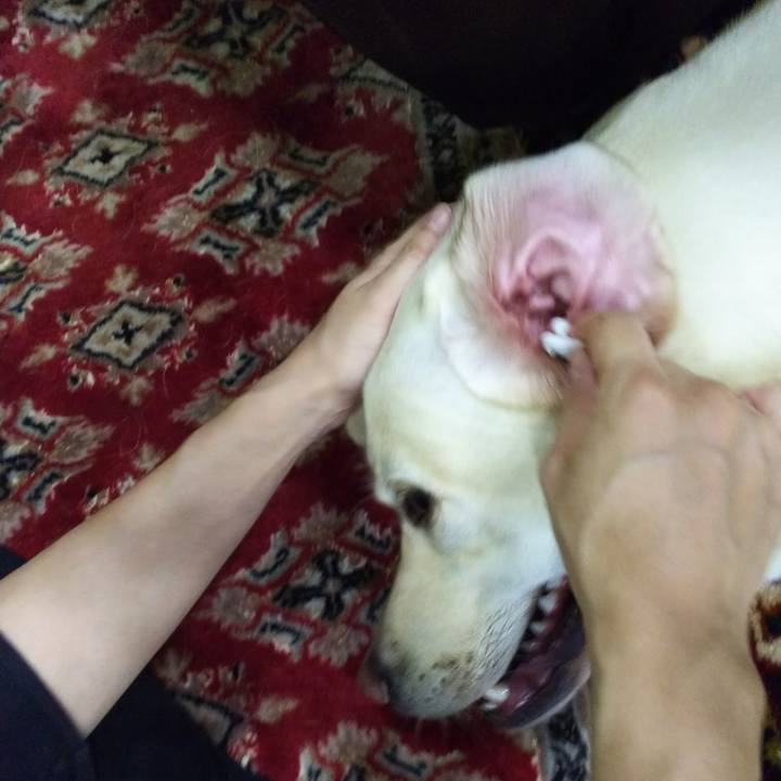 D8b7ccb7 4643 4319 a566 e1cfc6798350 1526558612663