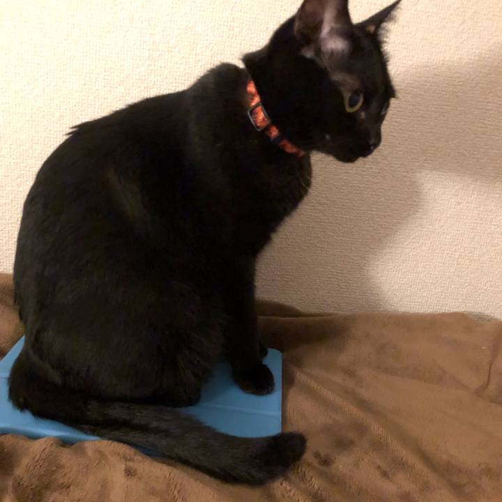 D8b7e0ca c2ce 4ad9 8b49 9d27efddeaef 1538659482118