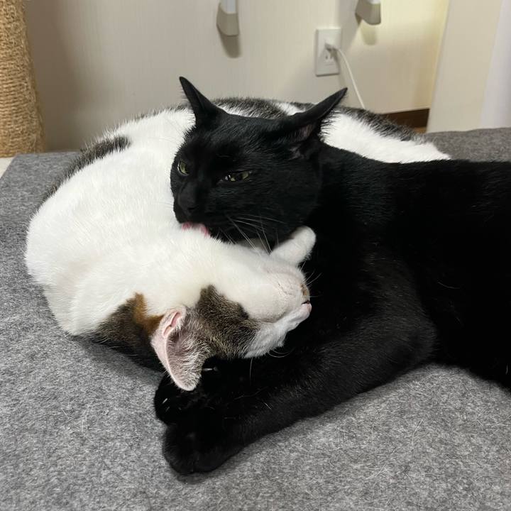 D8b7f8b5 4554 4b52 b9a2 42cf203a6e95 1689680887703