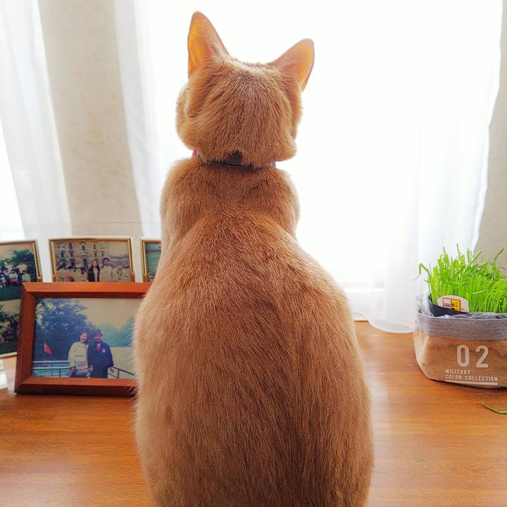 D8b82676 17e7 417e 8455 ee80891333cd 1609028707779