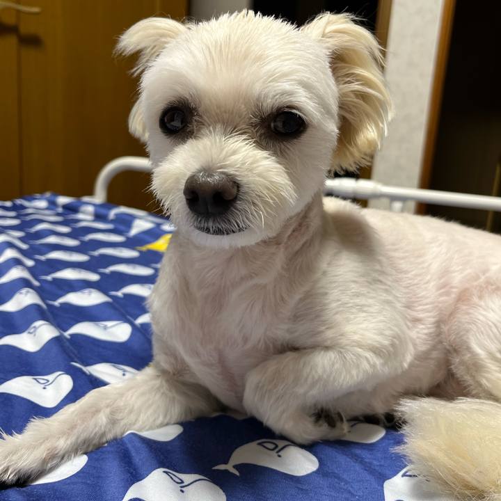 D8b8289b 5e2b 4d42 b68c 073f961684e3 1661775248870