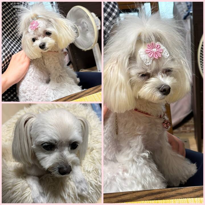 D8b82915 a8cb 402e abd3 d3cf5cc2b525 1751706992938