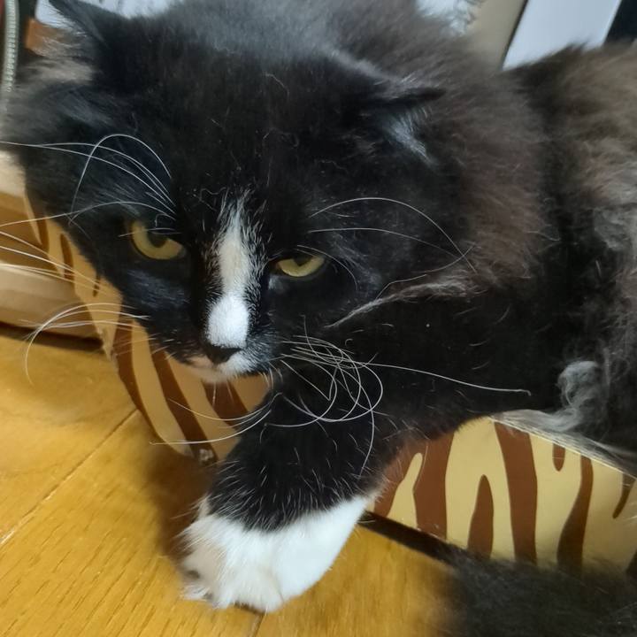 D8b89f9e cd30 43d5 94fd 05932bbffeeb 1685451111051