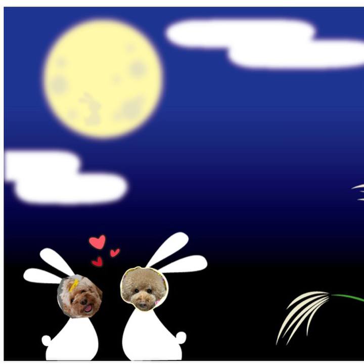 D8b8a435 fb7a 4baa 9af3 b383815524c0 1568375160543