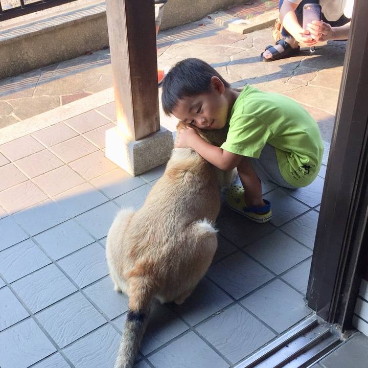 D8b8a4a7 4a49 4e6d acd8 6332f25e6f3b 1531726862813