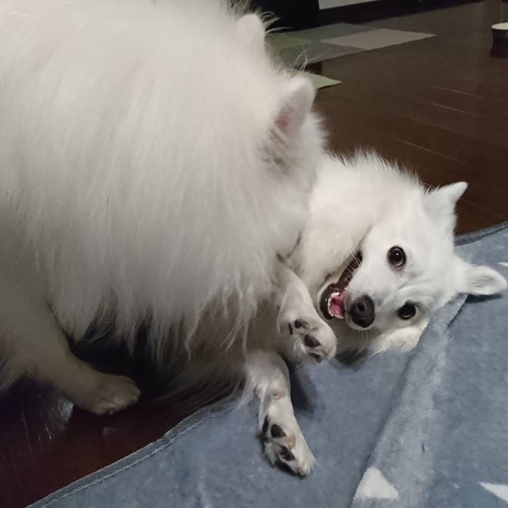 D8b8ef08 74bc 42db 80a3 eac206152a7f 1578327115360