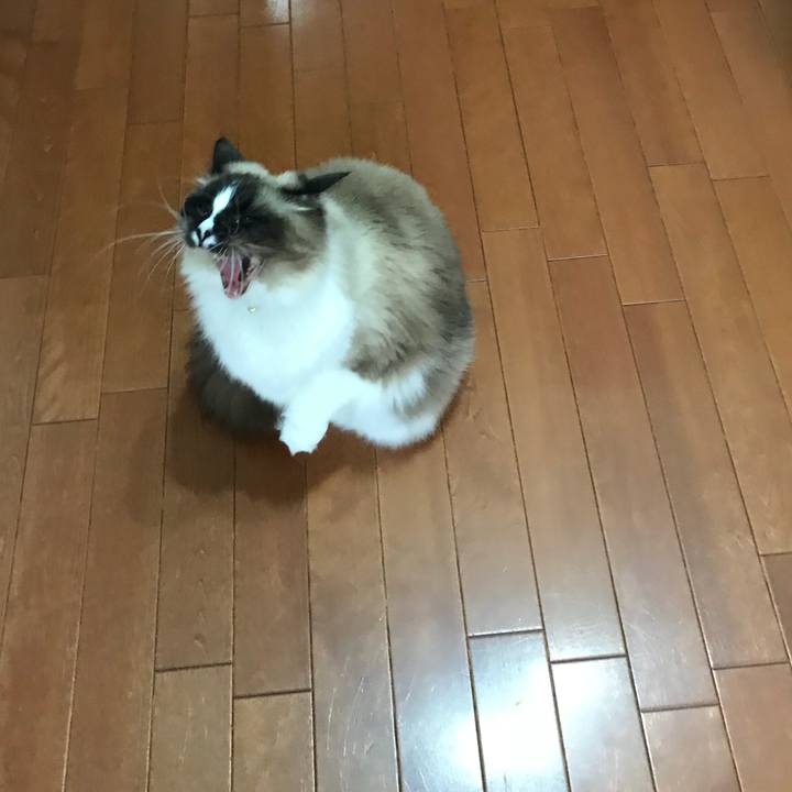 D8b95ec1 a854 4136 925c ae9325f112c2 1516372458129