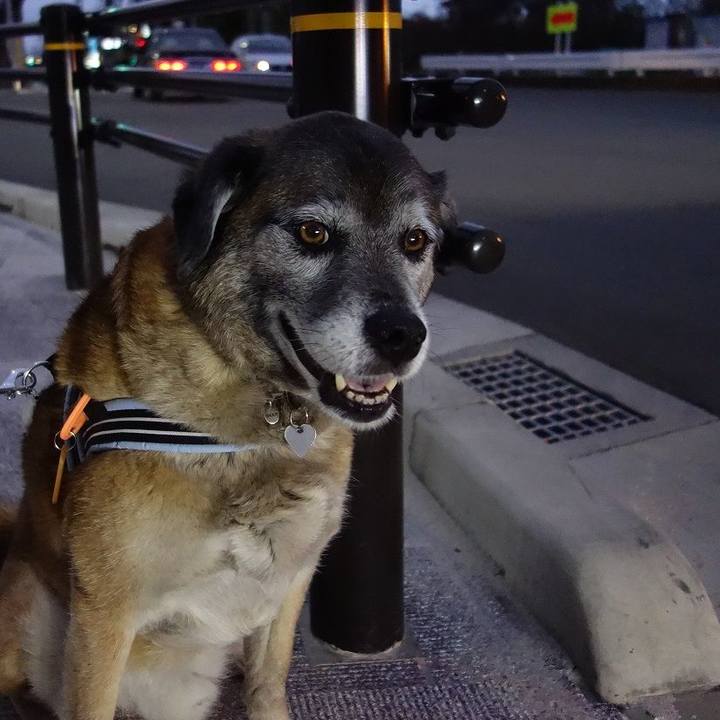 D8b96d15 5123 40a3 bc7c 8a2795526851 1523098019781