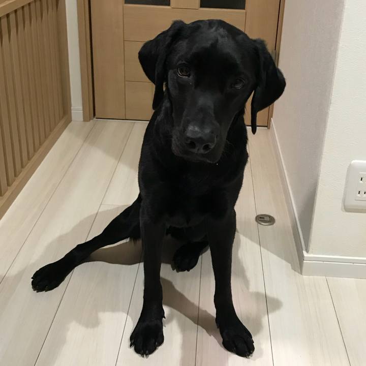 D8b9a388 6e9c 4e63 ba6c 2f8de2cb5232 1517315312640