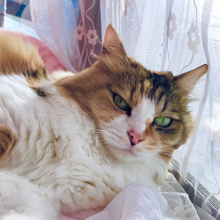 D8b9ae86 2254 4e32 972d 0b7e9822aafc 1607072438446