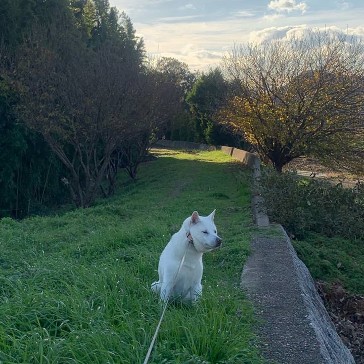 D8b9b3e8 18f7 4615 8ff8 de3b906d138b 1544228769582