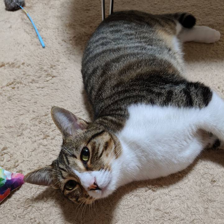 D8b9c7ed 548d 43b0 bf98 f708b380daeb 1559472393272