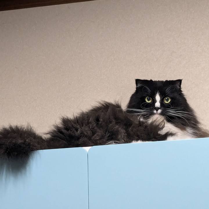 D8b9d324 2927 487f ae7e c66b10ab1656 1731146350994