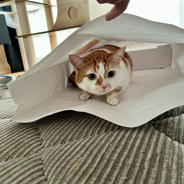 D8b9e89d 6934 4004 95c5 9122ae6a1324 1763433564022