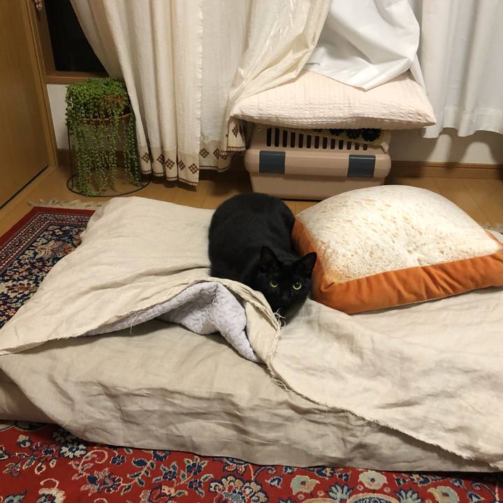 D8b9f81a 11ac 40e5 8dc7 a1615c077f93 1556284612841