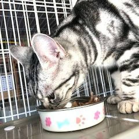 D8ba6755 7bbb 4b38 9f70 f06fd881bfb9 1547892490169