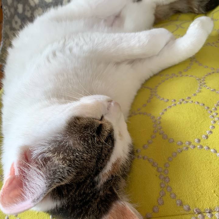 D8ba8b7b 190c 423c bae0 2ead4c4f71bd 1620695813017