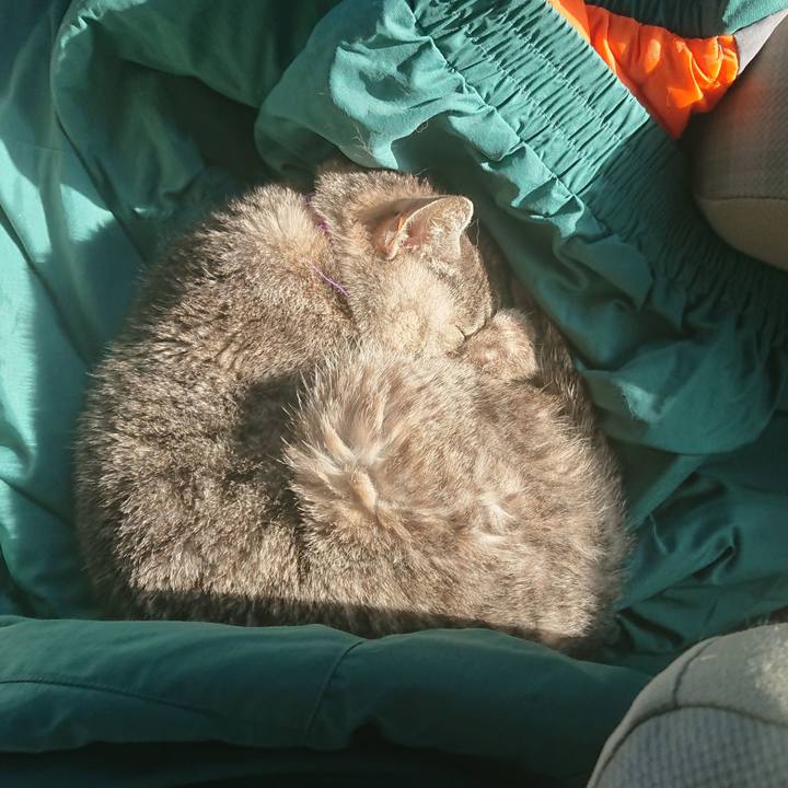 D8bab17d 88a5 4270 a18a 21d5393f5114 1583046383986