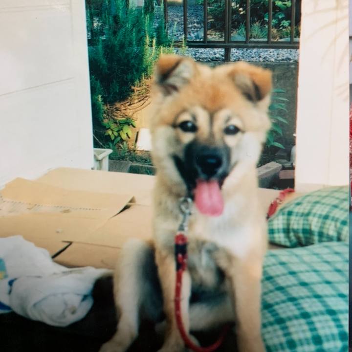 D8baf870 e5f2 4639 aad9 9bb70efbd14f 1650791009857