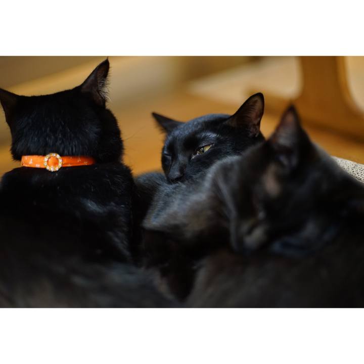 D8bb0dc7 baae 4e29 b6f7 ddcc44f9217c 1521416158953