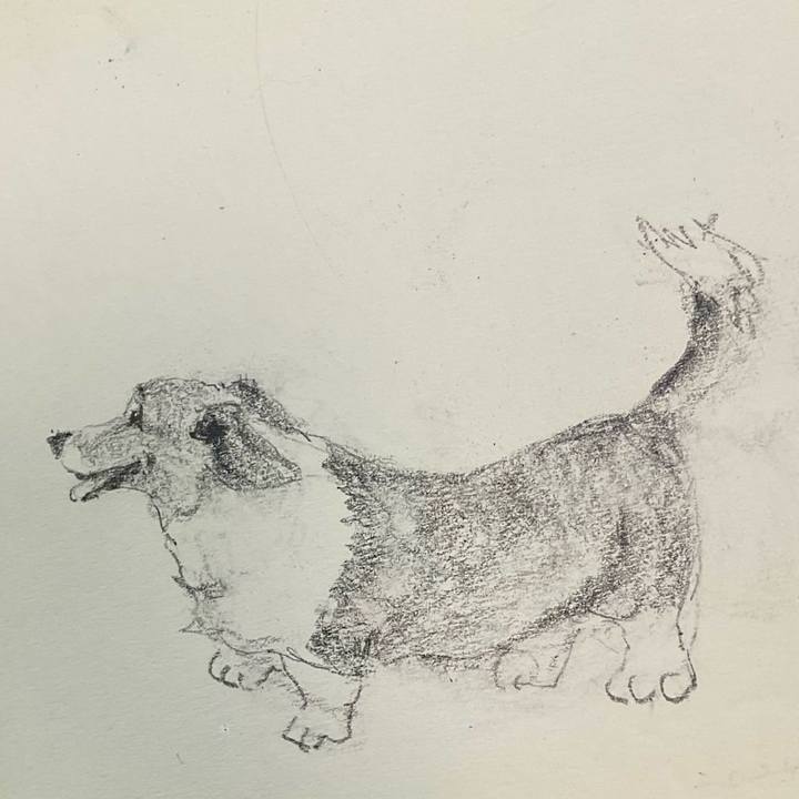 D8bb4316 a619 466f ba1f f0d662765beb 1713931277399