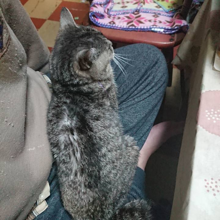 D8bb5932 446e 4b19 97b5 ba76824ca114 1579603246101