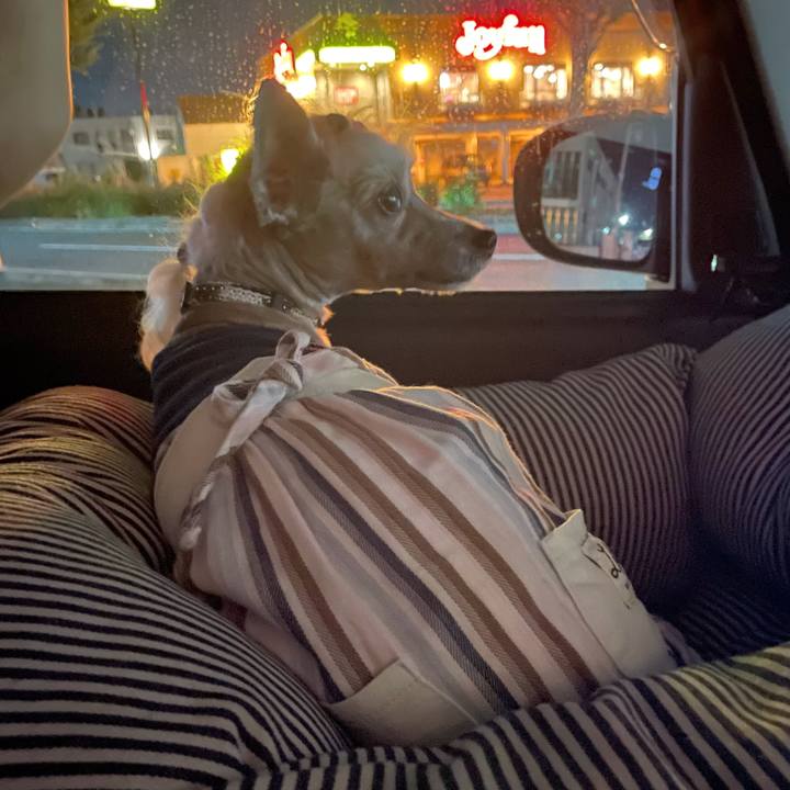 D8bb5ad6 54b0 42de b306 044ae7c4781f 1760614073858