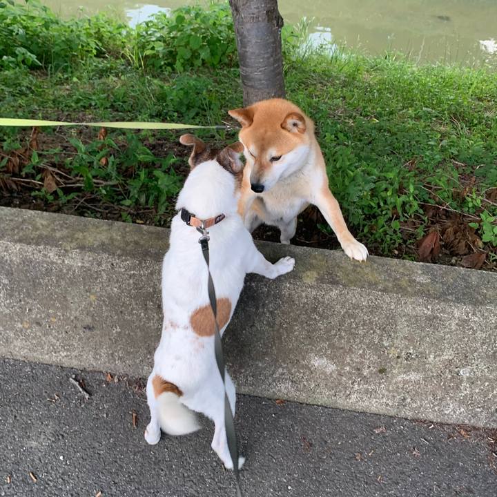 D8bb8877 a54e 404a b817 008f12c1c742 1624183871072