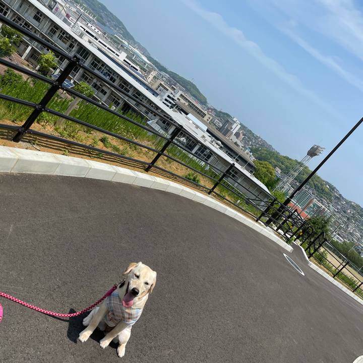 D8bb9d82 24cb 419b b3dc 3d8581b66940 1621561400846