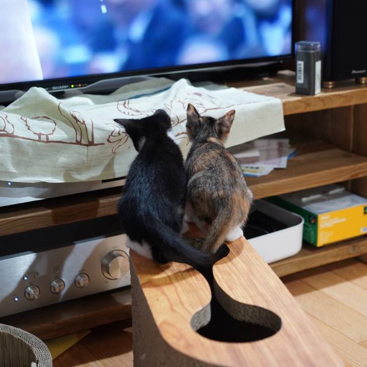 D8bba121 895d 488a a6b8 c287c40bae9c 1567608045329