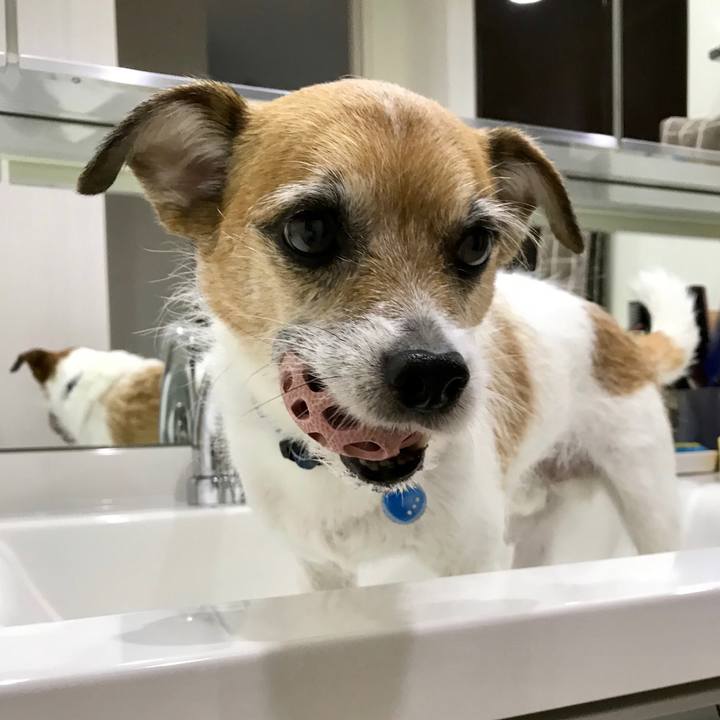 D8bba2cd b6ed 4f1c 80c3 3af34cdf61a6 1560937807495