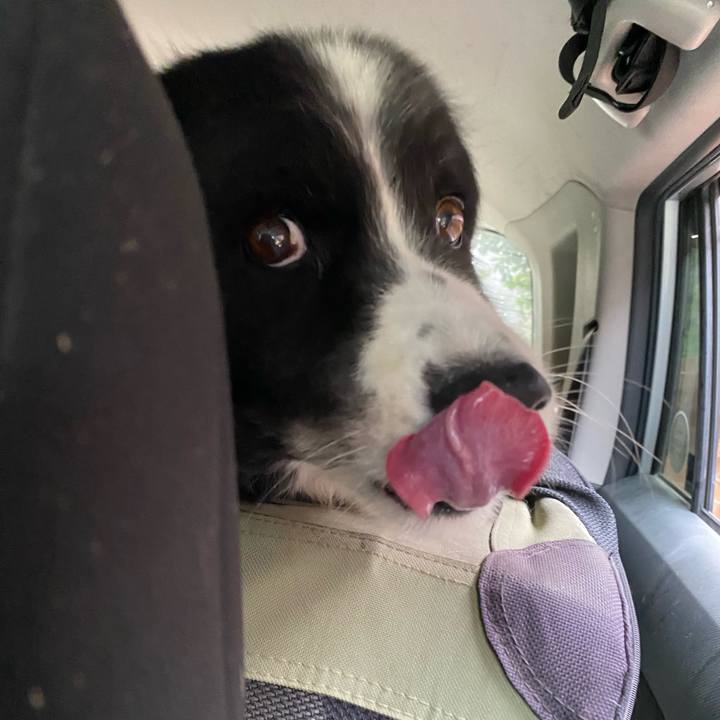 D8bbb5a3 0131 4e5e 9e9b 4ee1909c7398 1658527490571