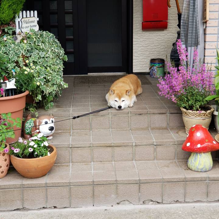 D8bbba1d 268f 4f91 a7cf d00ec06314fc 1594442988215