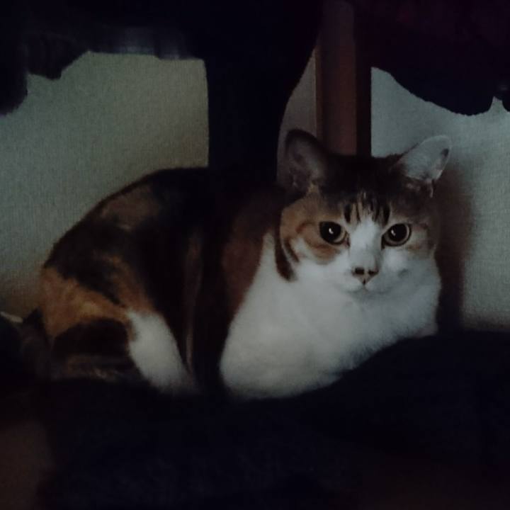 D8bbec8d b02a 4597 891f 6d3b53e12b9e 1556505969225