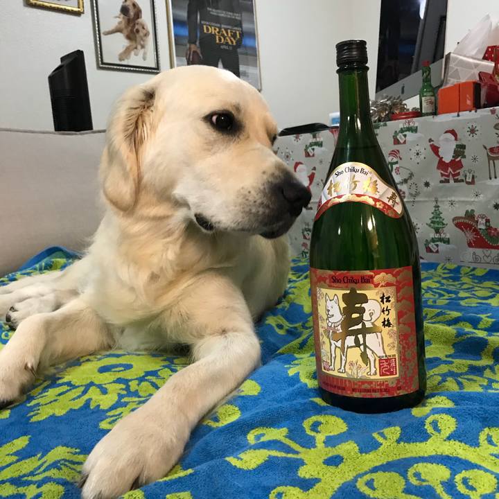 D8bc0dbf 5973 49f9 b7d3 41eaab469158 1513901726636