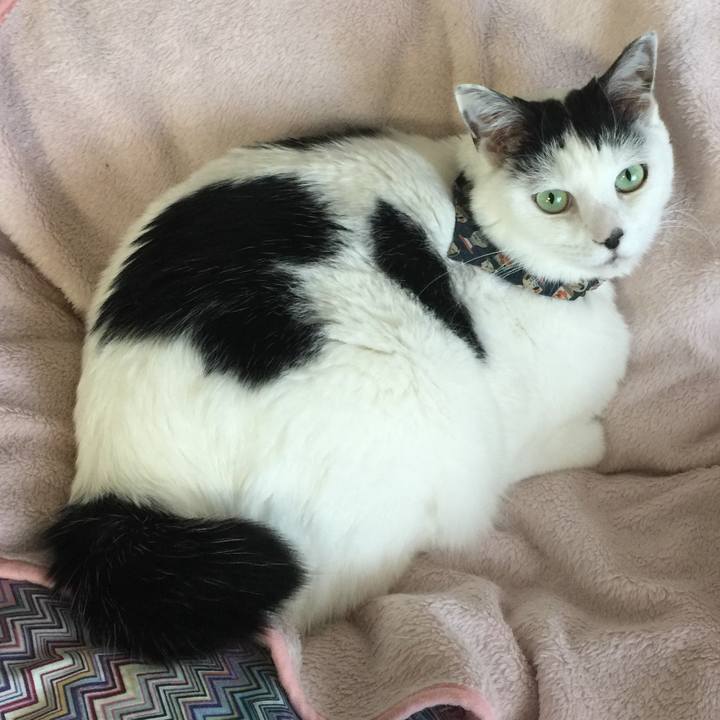 D8bc1885 3fc8 436a bf82 8f1c04722d54 1515627707488